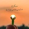 muhammadraficjamali