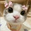 juliee3335