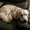 karenbest07