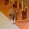 catesandy