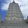 truongle061
