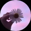 user82129738
