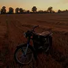 mlody_rolnik7211