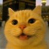 hdndkwkqbwhj