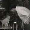 وصهيب