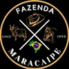 fazenda Maracaípe💥