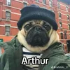 arthurvizzel