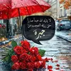 ial443