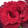 joerg_1105