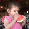 mitizoca