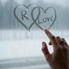 camell_thol