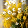 abdulwahed.salim