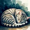 kika_q