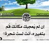 amin_save