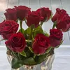 pinot58