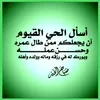 user913019856