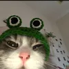 username1707232
