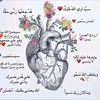 mahmoud47911