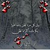 user349130136