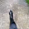 becky_b_rocks