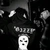 ldswzp