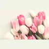 userp8izcunwrz