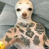 jaydenloz1215