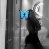 rasha94_n