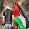 tawfiqbouras
