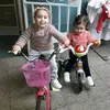 malvinasoledadjesus