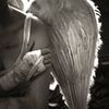 arkangelkaida1