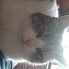 angelica_198103