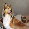 leslierh64
