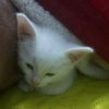danielandres0520