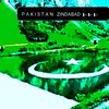 pakibrowngirlting