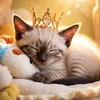 Fofuzuras