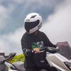 palbut_nzn