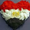 ahmedaltayeb017