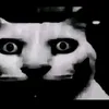 naosbfwkq0