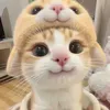 taphoanhodayyy