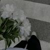 canellaa_