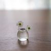dolittledaisy