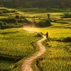 danhtruong123450