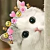kiwiiiiiiii10202