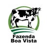 fazendaboavistafv