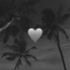 mikl_shark