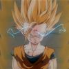 _fw_gohan