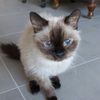 lilimadris