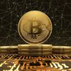 akademi_crypto_wijaya