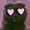 zainah.mb